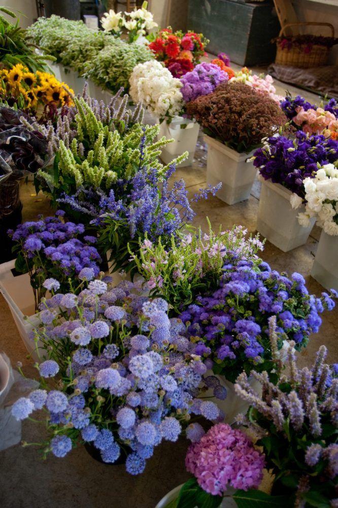 Enchanted Forest Whisper Arrangement