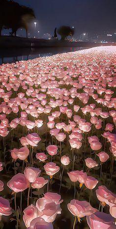 Sunset Serenity Floral Cascade